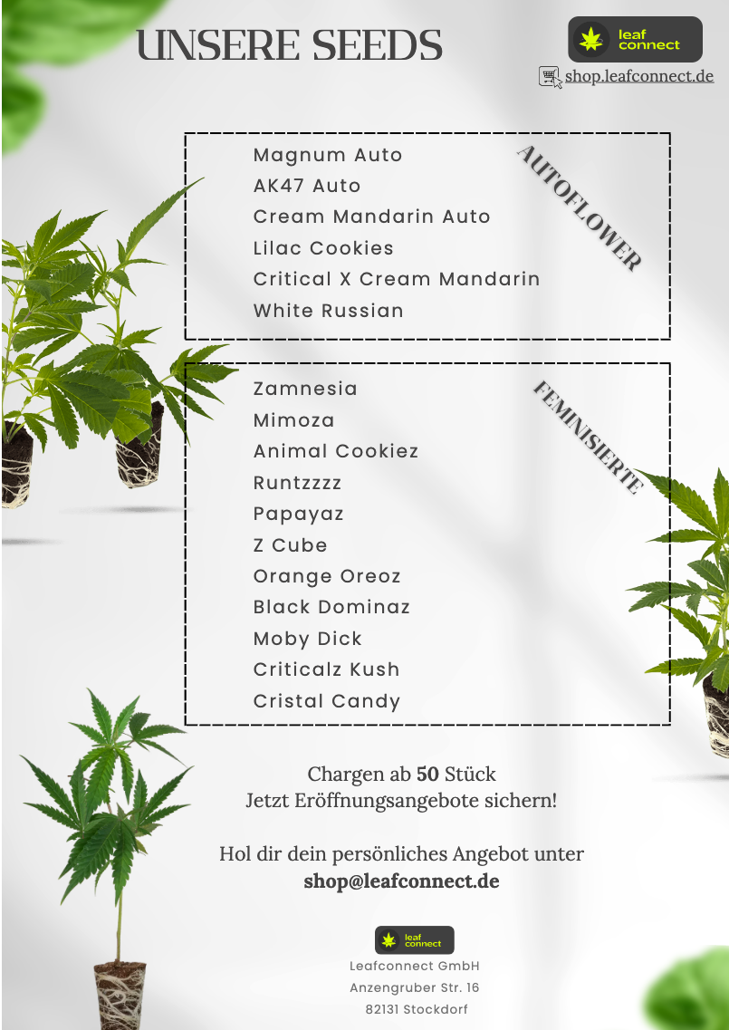 Unsere Seeds