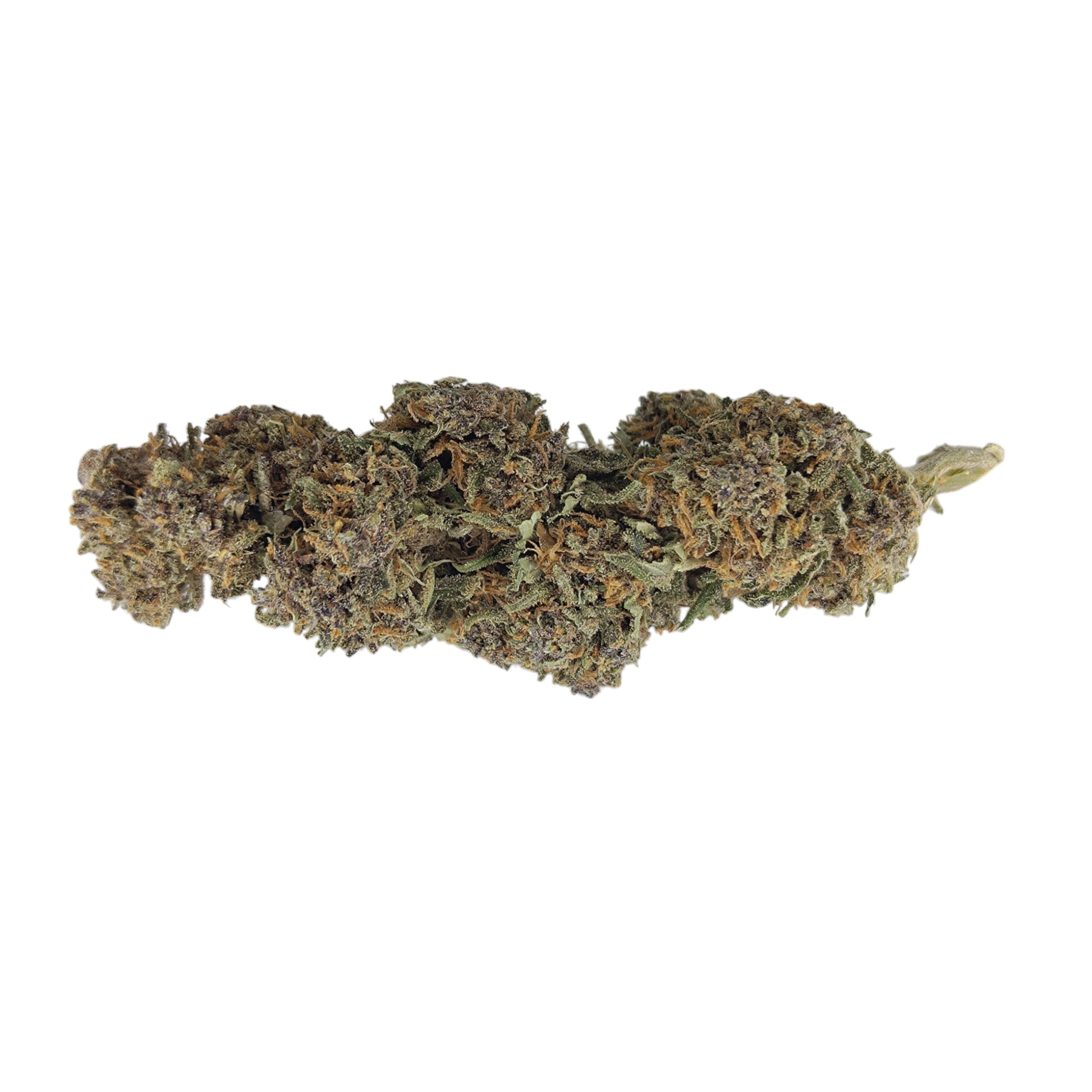 Purple Outdoor <0,2