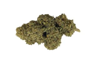 Cannatonic Bud