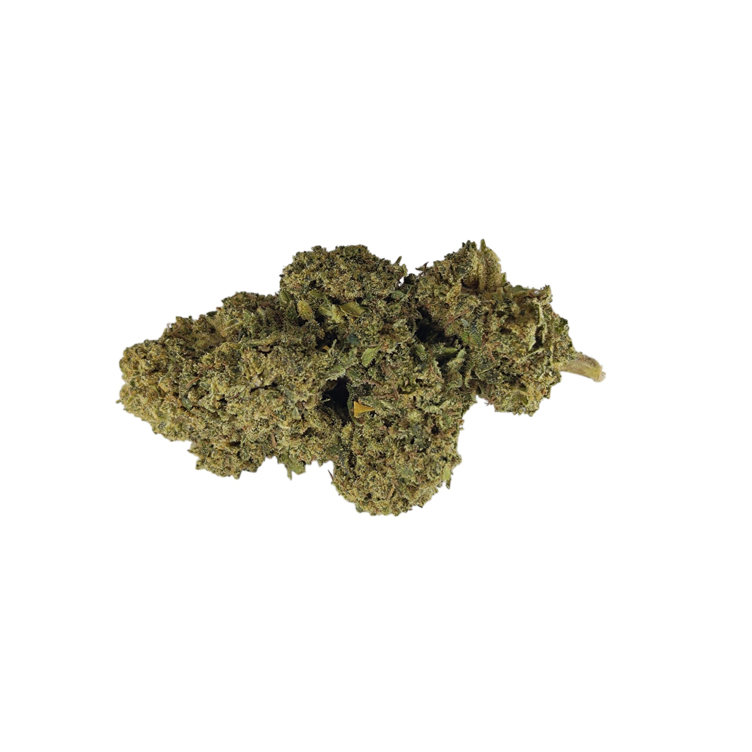 Cannatonic Bud
