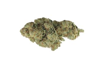 Amnesia Indoor <0,2