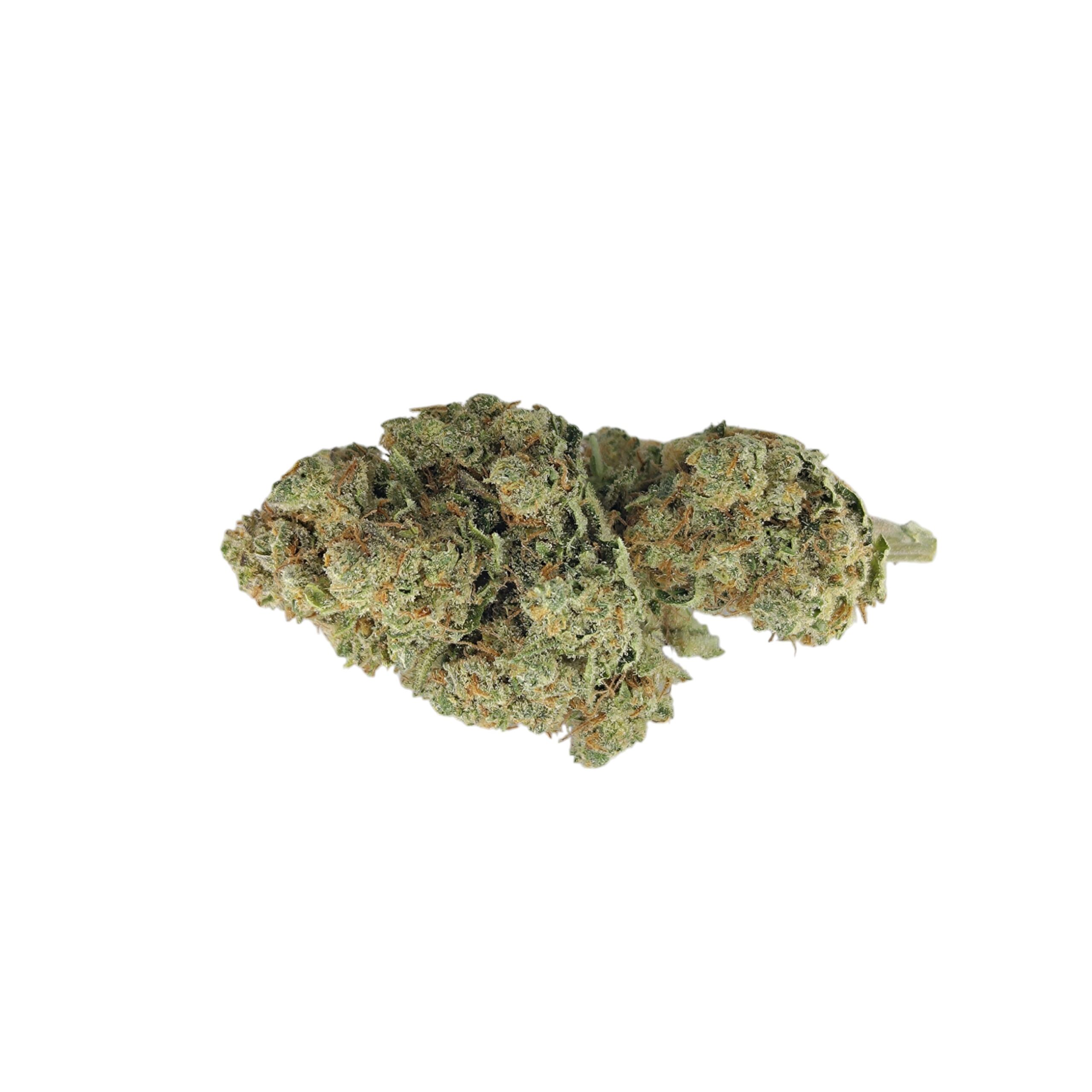 Amnesia Indoor <0,2
