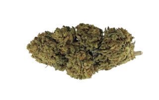 BZ1 Outdoor washed