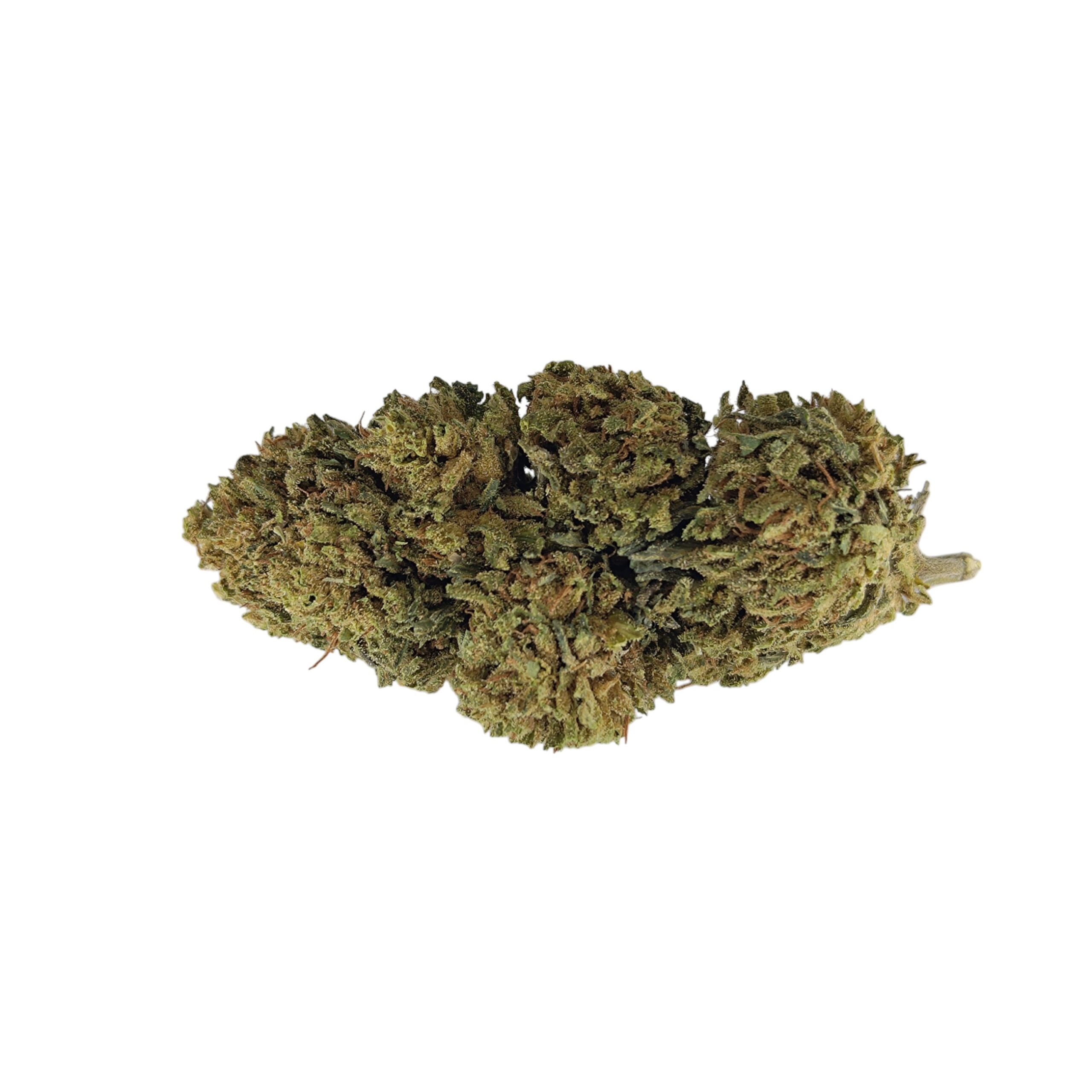 BZ1 Outdoor washed