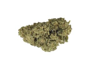 Cannatonic CT Indoor <0,2