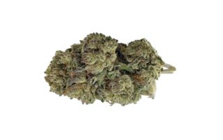 Critical Greenhouse <0,2