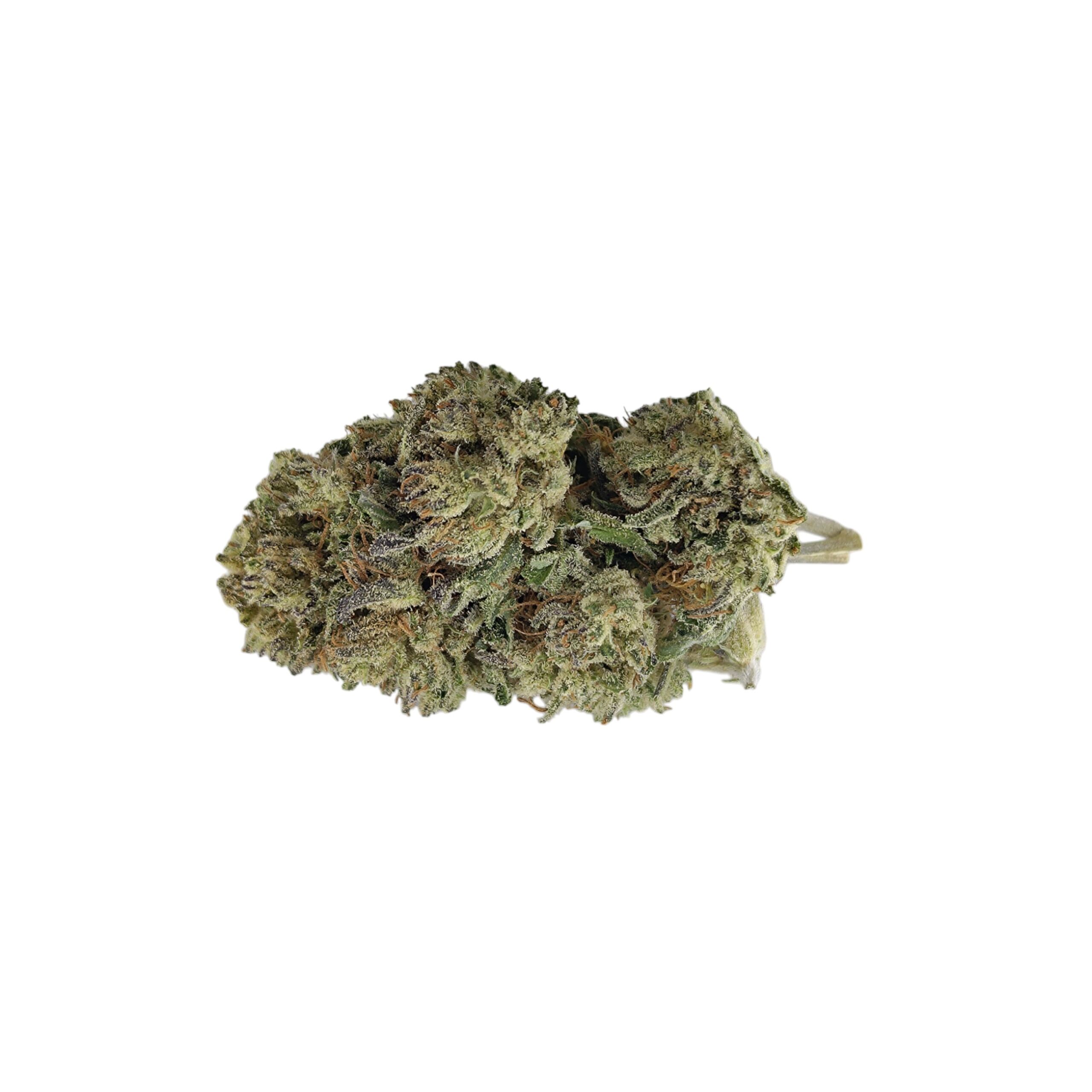 Critical Greenhouse <0,2